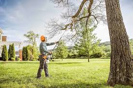 Best Hedge Trimming  in Saw Creek, PA