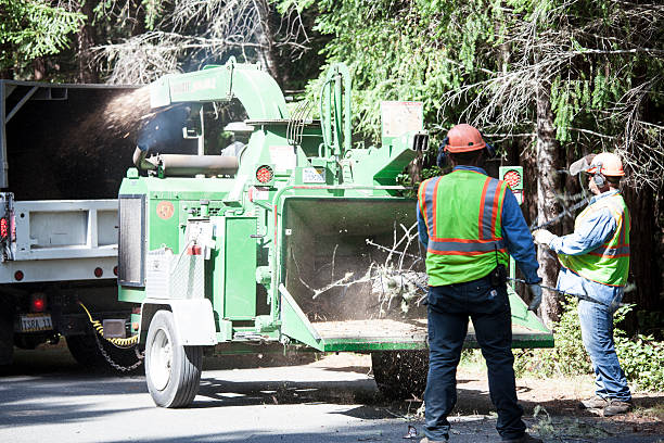 Best Lawn Watering Services  in Saw Creek, PA